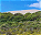 Photo of De Hoop Nature Reserve