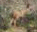 Photo of Etosha National Park