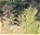 Photo of Forêt Classée de Missa-Höhe