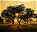 Photo of Hwange National Park