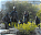 Photo of Jefferson City,Missouri