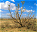 Photo of Kavir National Park