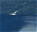 Photo of Lake Te Anau