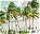 Photo of Maracas Bay Village