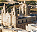 Photo of Mdina