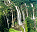 Photo of Meghalaya