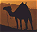 Photo of Middle East
