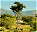 Photo of Mlilwane Wildlife Sanctuary