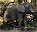 Photo of Mosi-oa-Tunya National Park