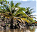 Photo of Nan Madol