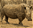 Photo of Northeast Eswatini