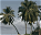 Photo of Nosy Iranja