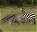 Photo of Parc National de l'Akagera