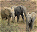 Photo of Parc National de la Pendjari