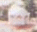 Photo of Pedoulas