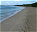 Photo of Pinney's Beach