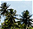 Photo of Pohnpei Island