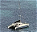 Photo of Port Elizabeth