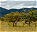 Photo of Rupununi Savannah