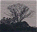 Photo of Río Orinoco