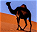 Photo of Sahara Desert