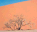 Photo of Sesriem