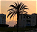 Photo of Sirte