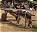 Photo of Ségou