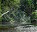 Photo of Taman Negara