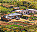 Photo of Tsikoane