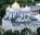 Photo of Veliky Novgorod