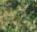 Photo of Óbidos